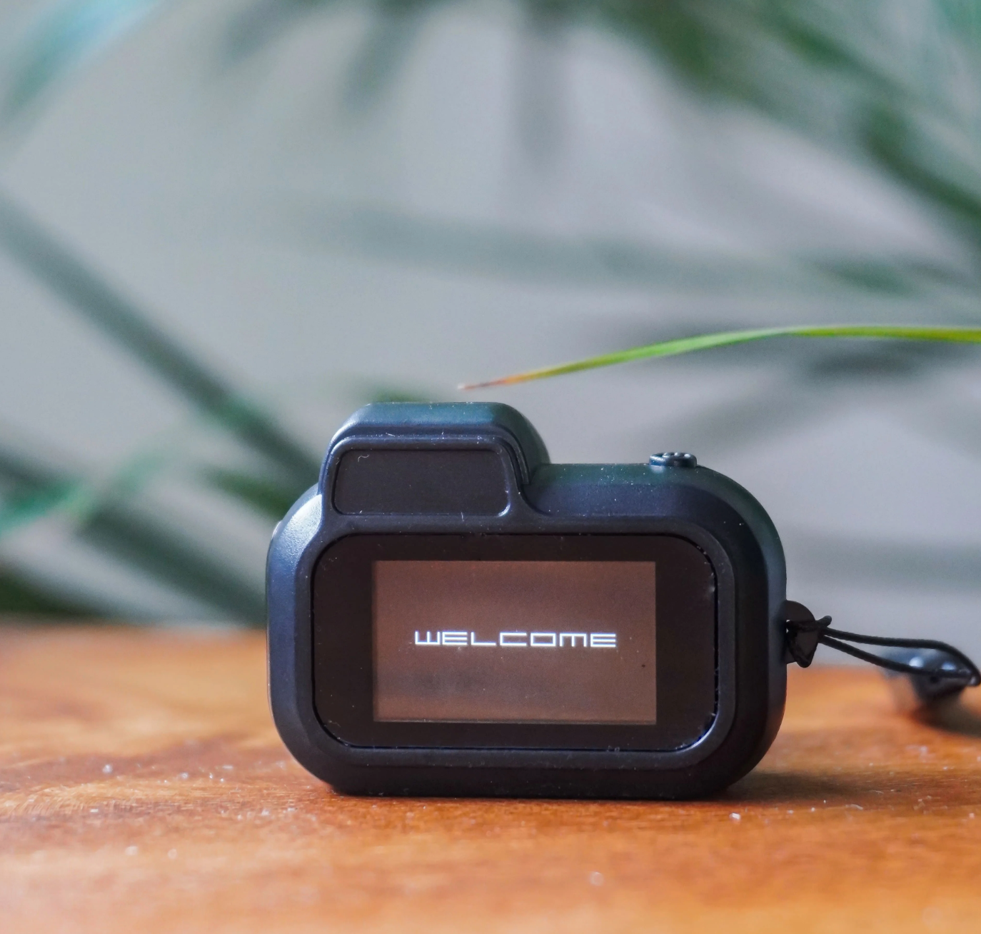 Mini Camera Keychain
